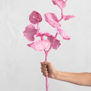 PINK FLOWER, plant, resin, volcanic sand, watercolor, 30X64X20 cm, 2020